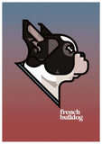 French Bulldog. European Unity